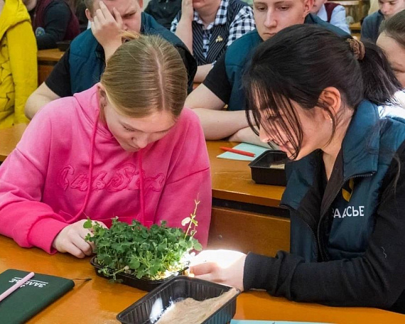 Лучший проект курса «Растения будущего» — работа агротехклассников из Переславского